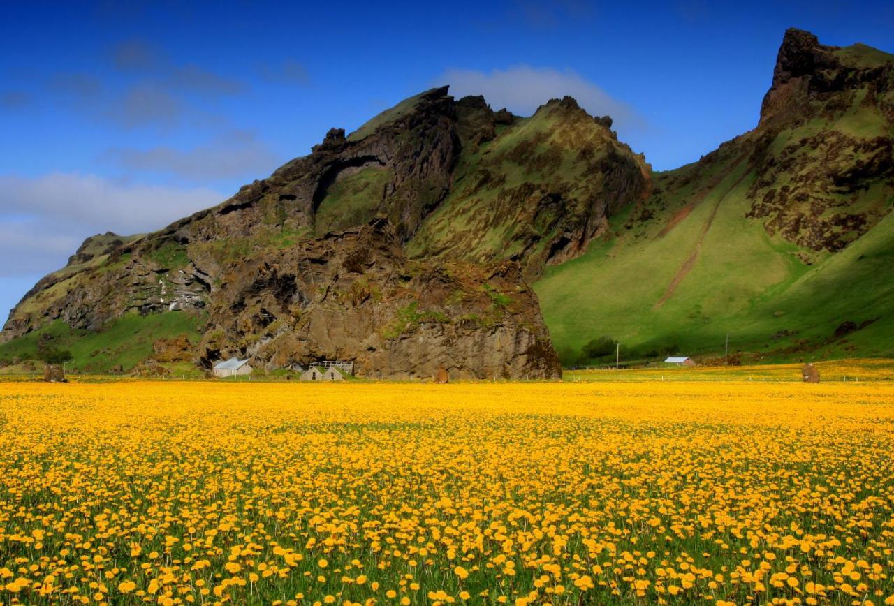 Cozy Cottage By Stay In Iceland Хвольсвёдлюр Номер фото